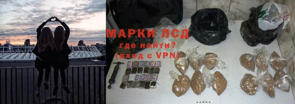 ПСИЛОЦИБИНОВЫЕ ГРИБЫ Зеленодольск