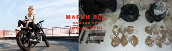 ПСИЛОЦИБИНОВЫЕ ГРИБЫ Зеленодольск