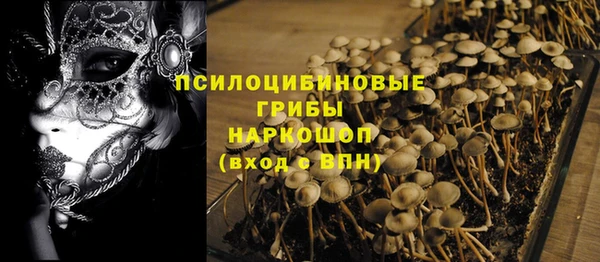 ГАЛЛЮЦИНОГЕННЫЕ ГРИБЫ Зерноград